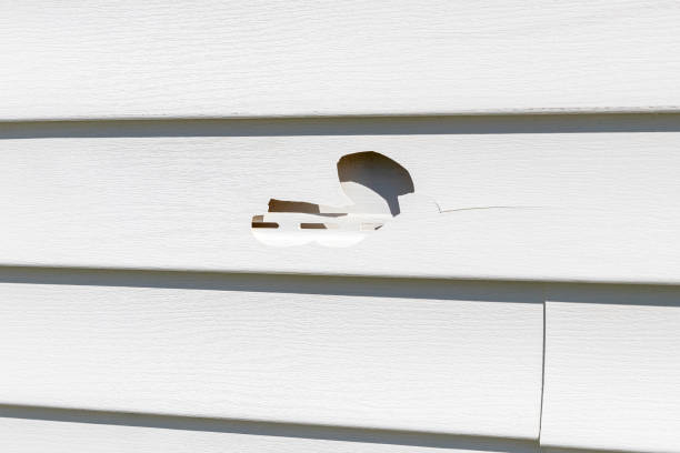 Montrose Ghent, OH Siding Installation & Repair Company